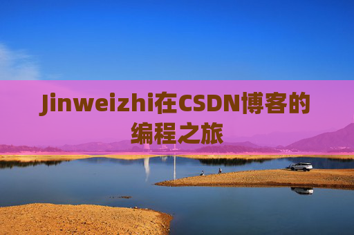 Jinweizhi在CSDN博客的编程之旅
